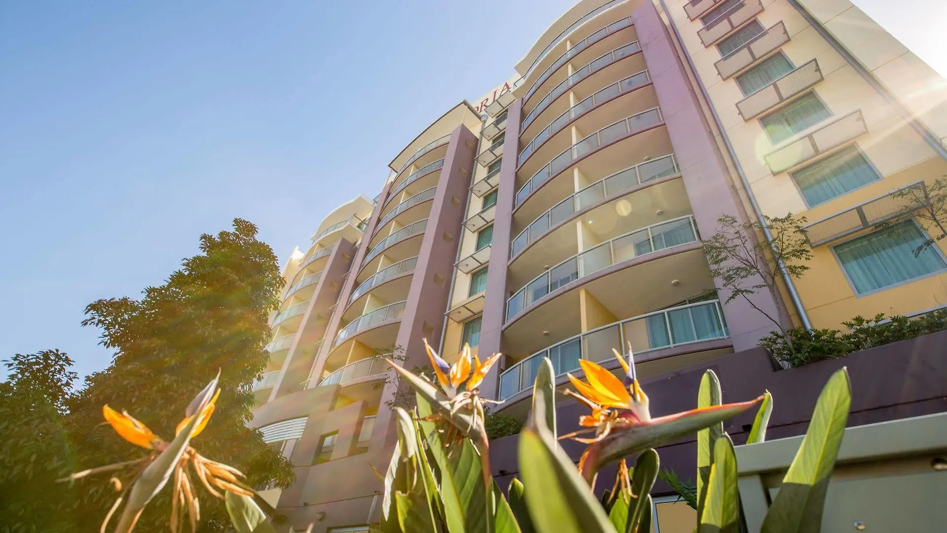 Hotel Gloria Springwood